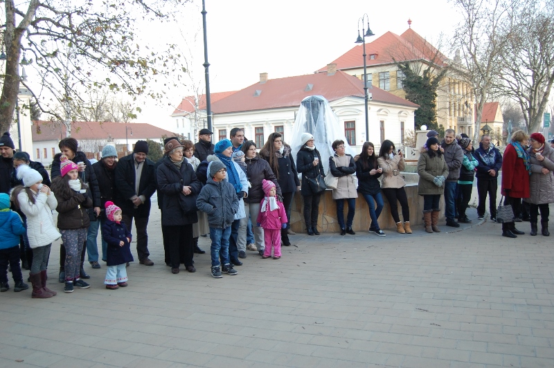 DSC_7767 (800x532)